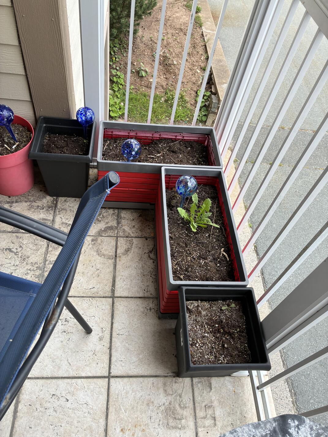 Misc. planters