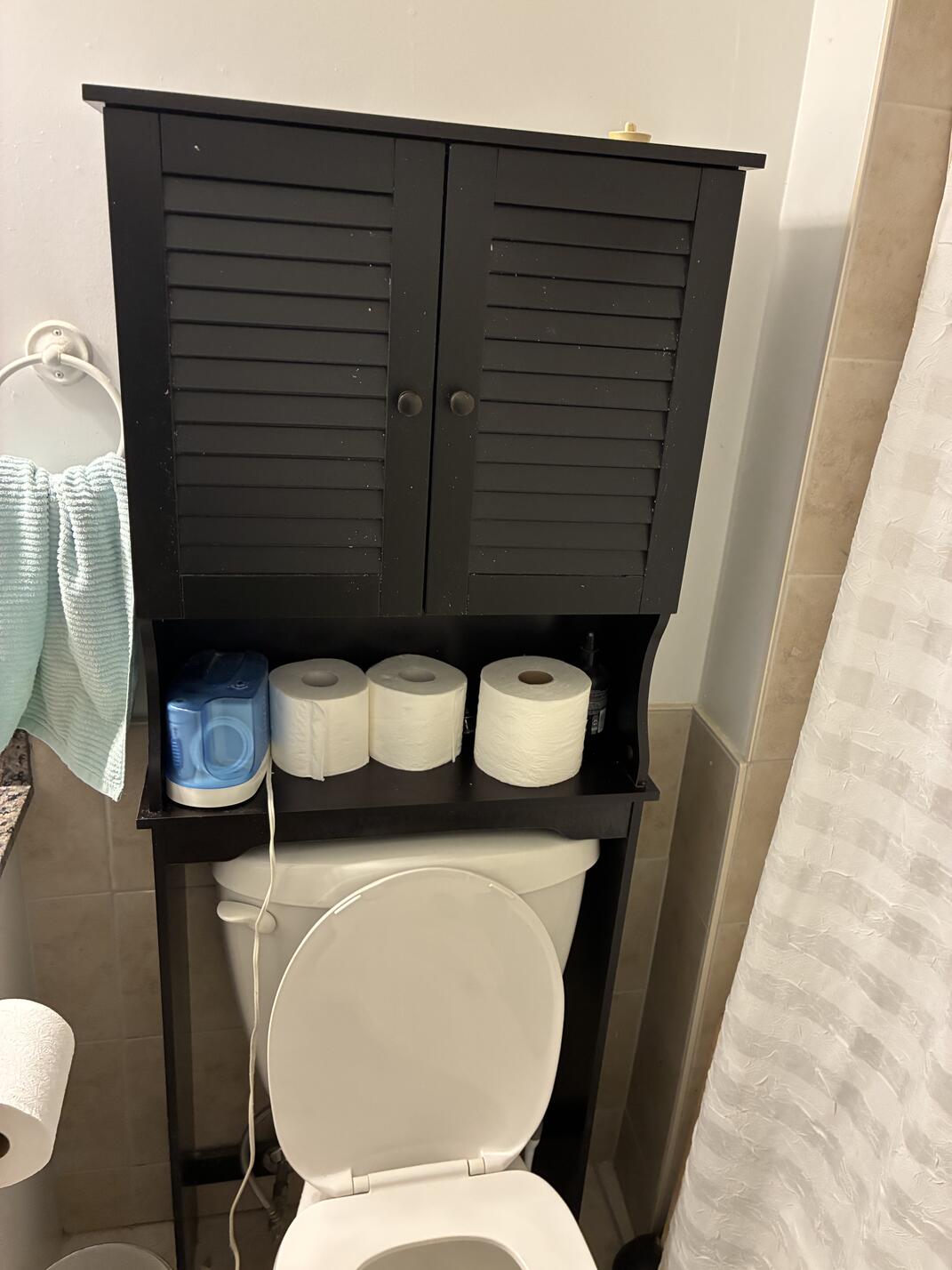 Bathroom shelves